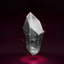 Warlocks and Warriors logo
