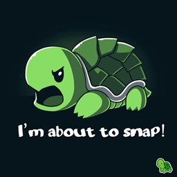 Turtle Craft project image