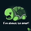 Turtle Craft logo