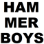 HammerPack logo