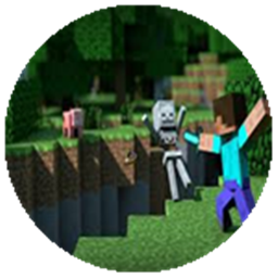 VIP MODPACK logo
