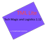 TML Lite logo