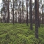 Ani-Mod : Biodiversity hotspot logo