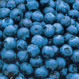 Blueberry Muffin Mod - Minecraft Mods - CurseForge