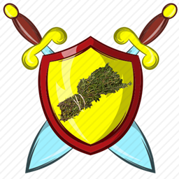 Adventure Thyme project image
