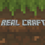 RealSim logo