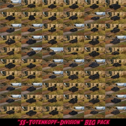 "SS-Totenkopf-Division" BIG pack (62 tanks)