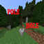 PoleHole logo