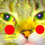 Closet Devs Pixelmon logo