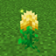 Radiant Botany logo