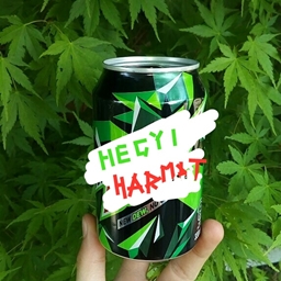 Hegyi Harmat logo