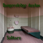 Dangersledge Asylum:  Solitary logo