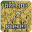 Are You Blind!? logo