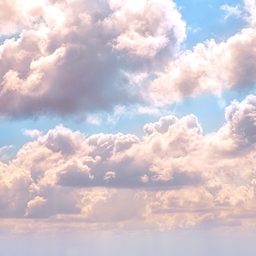 Head in the clouds project image