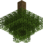 Random Camera logo