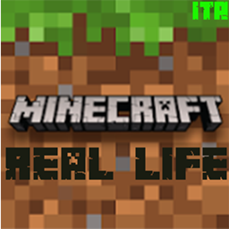RealLife project image