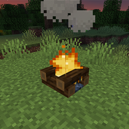 Camping With Friends