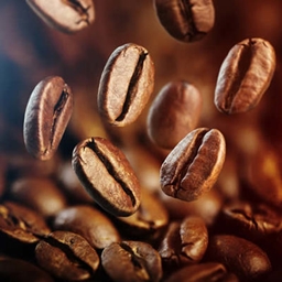The Beans