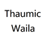 ThaumicWaila logo