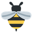 For the Bees logo