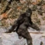 Wild Cryptids And Conspiracies Mod logo
