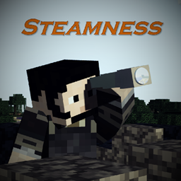 Steamness logo