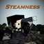 Steamness logo