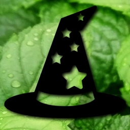 Four Suns - Peppermint Wizard logo