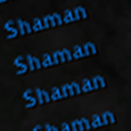 whoa BlueShamans logo