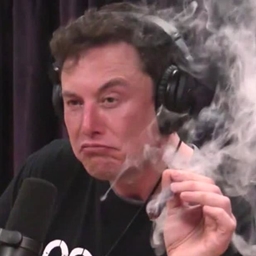 Elon-MP logo