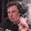 Elon-MP logo