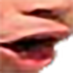 PogCraft