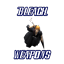 Bleach Weapons logo