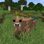 Mooshroomcraft logo