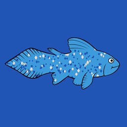 Coelacraft Revival logo