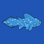 Coelacraft Revival logo