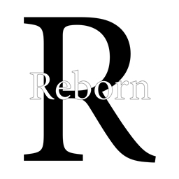 Reborn 2 project image