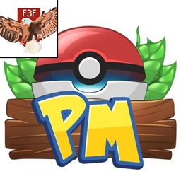 PokeKraft logo