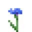 Cornflower logo