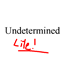 Undetermined Lite logo