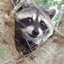 Joker's Pointless Modpack logo