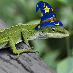 Dinomancy