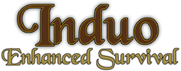 Induo: Enhanced Survival project image