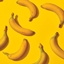 Page Family Play Pack logo