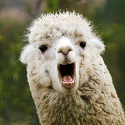 LlamaPack