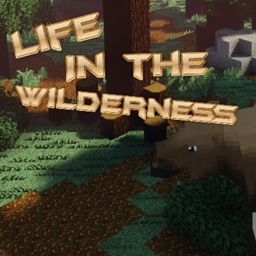 Life In the Wilderness project image