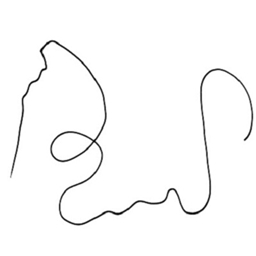 TheSquigglyLine Pack