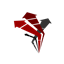 AnarkheRevolution logo