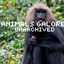 Animals Galore Unarchived logo