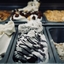 Fudge Ripple logo